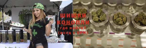 ALPHA PVP Козельск