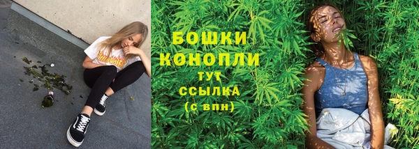 ALPHA PVP Козельск