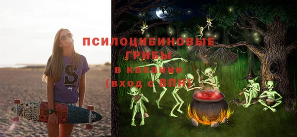 ALPHA PVP Козельск