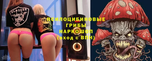 ALPHA PVP Козельск