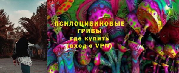 ALPHA PVP Козельск