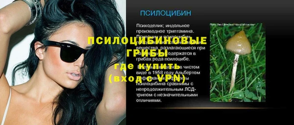 ALPHA PVP Козельск