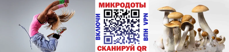 Галлюциногенные грибы GOLDEN TEACHER  Купить закладки  Заречный 